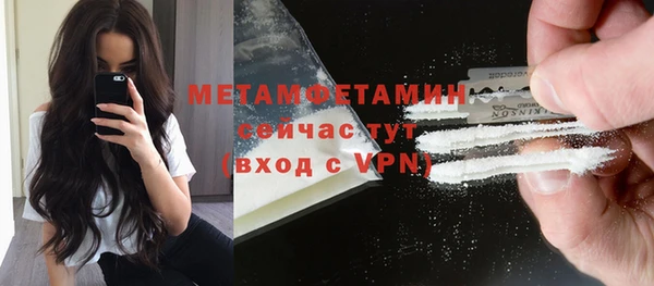 индика Елабуга