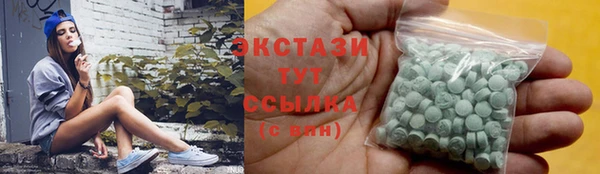 индика Елабуга