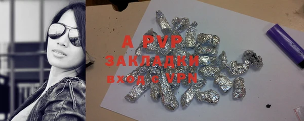 индика Елабуга