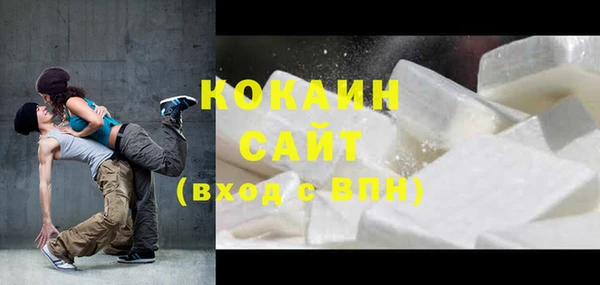 дмт Ельня