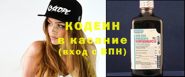 индика Елабуга