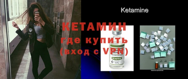индика Елабуга