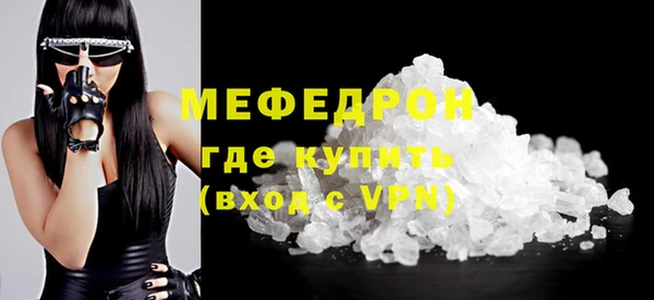 индика Елабуга