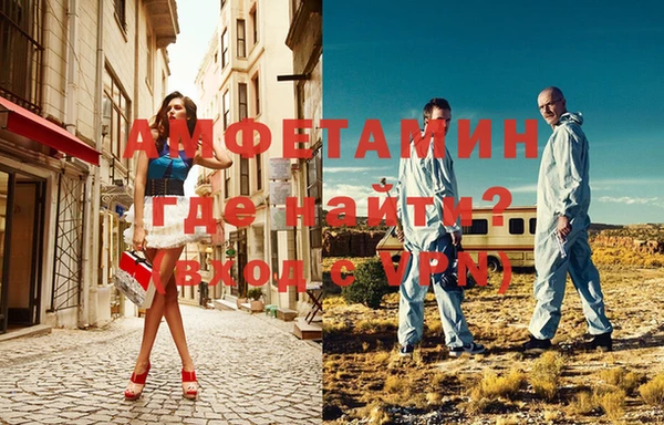 индика Елабуга