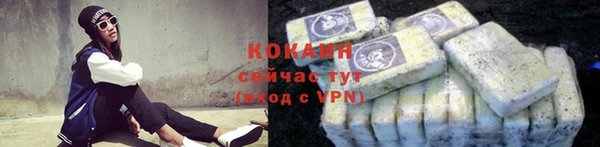 дмт Ельня