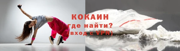 дмт Ельня
