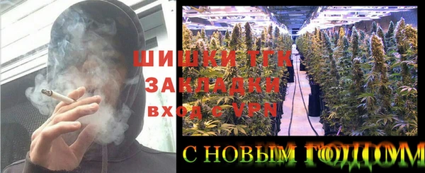 стафф Елизово