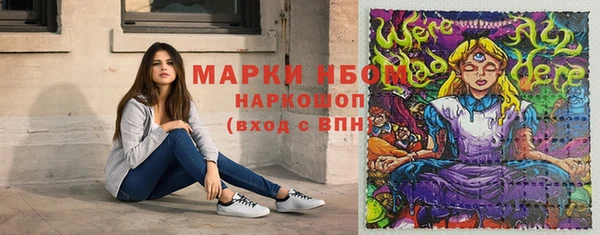 дмт Ельня