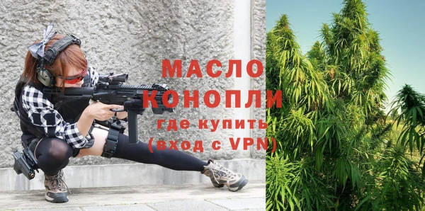 дмт Ельня