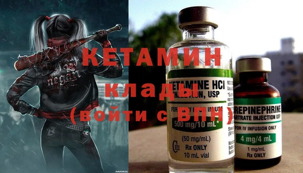 дмт Ельня