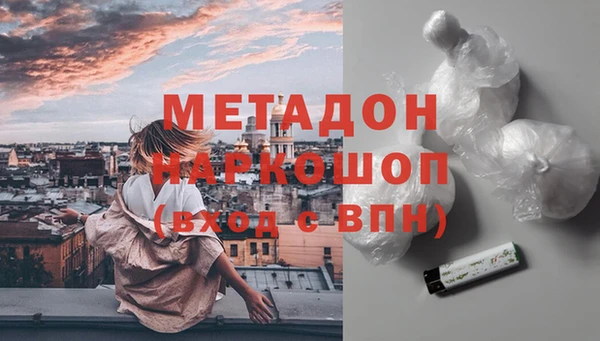 индика Елабуга