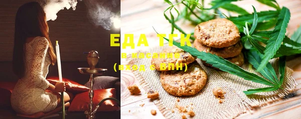 индика Елабуга