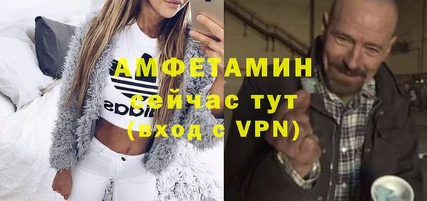 индика Елабуга
