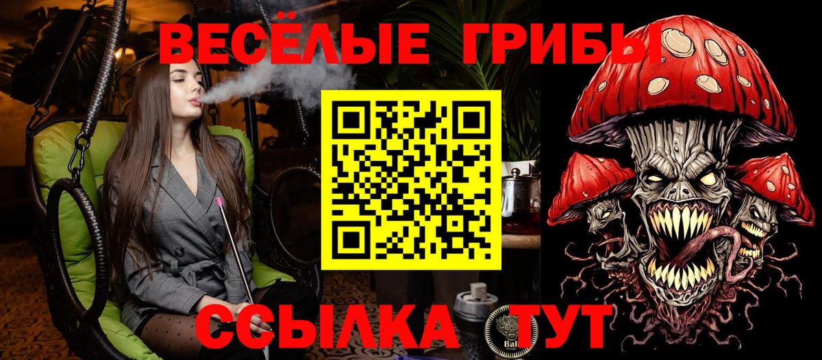 Ишим  Галлюциногенные грибы GOLDEN TEACHER  Вход с VPN 