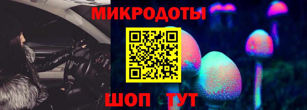 Псилоцибиновые грибы Psilocybe Ишим