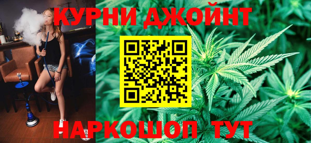 Каннабис план Ишим